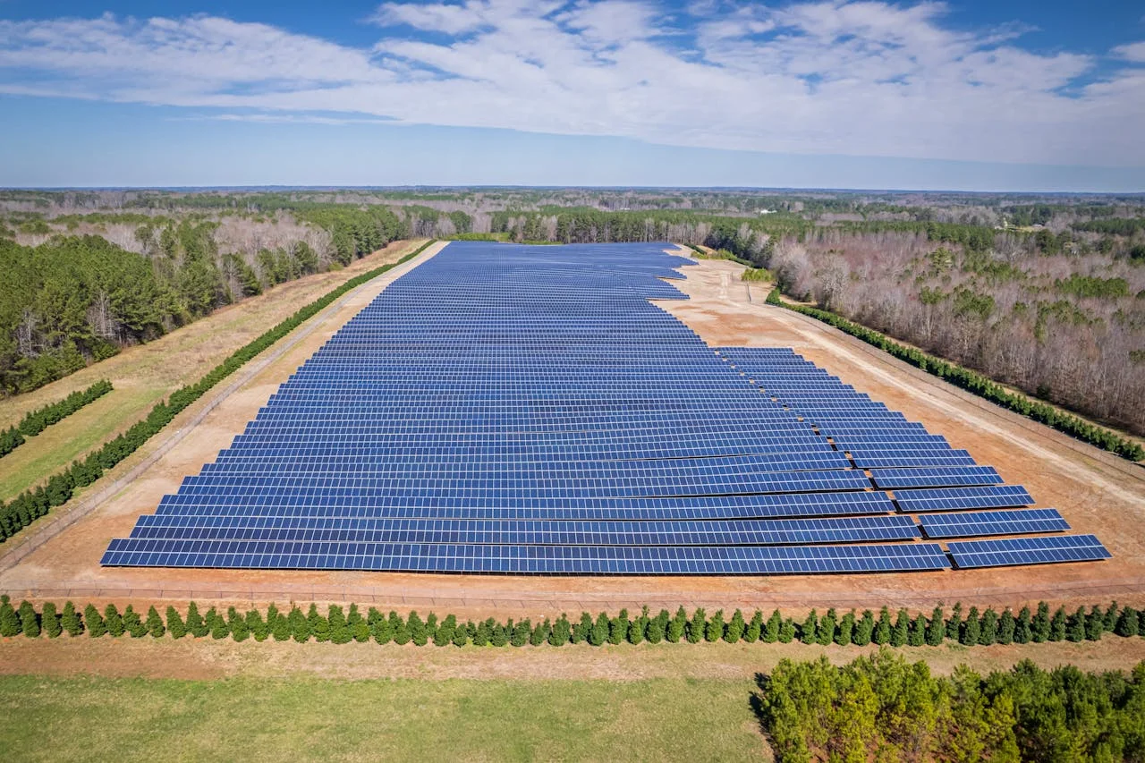 services-hero Extensive solar farm surrounded by forests in White Level, NC, showcasing renewable energy.